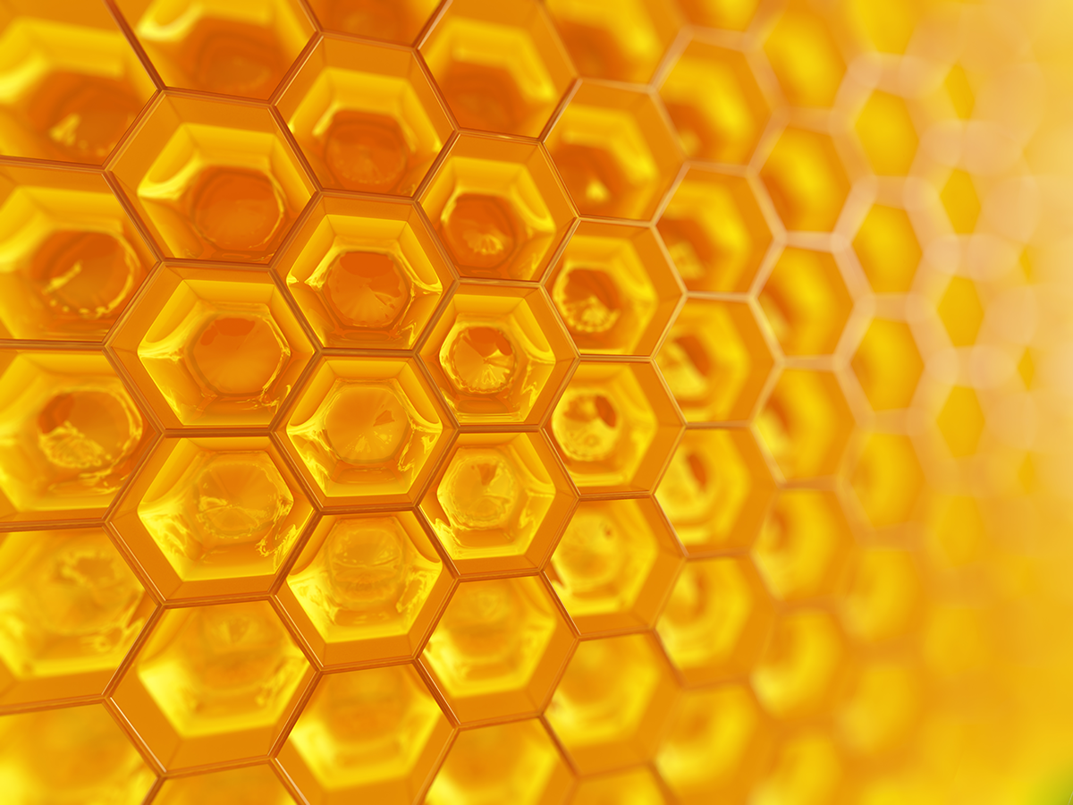 Videos/Podcast - Bee Kind Pediatrics