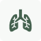 B2